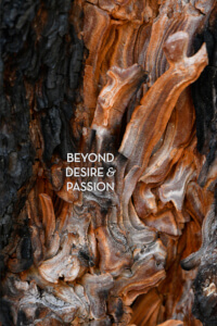 Beyond Desire & Passion thumbnail